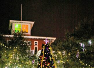 sandestin-village-of-baytowne-wharf-christmas-tree-and-lights