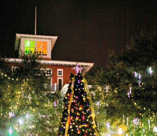 sandestin-village-of-baytowne-wharf-christmas-tree-and-lights