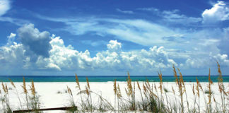 Beach Scene