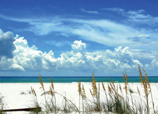 Beach Scene