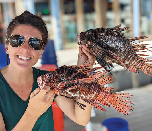 Lionfish Jessicacoastalresources