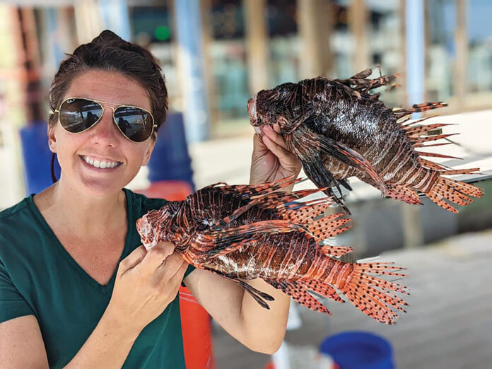 Lionfish Jessicacoastalresources