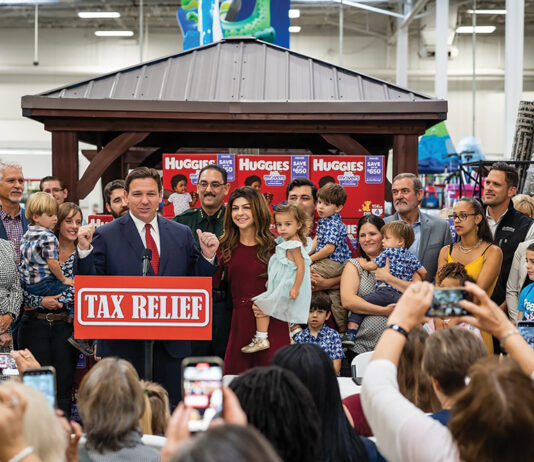 Desantis Tax Relief