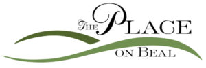 The Place Logo