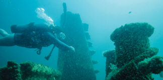 Reef Diver Courtesy Fwb Destin 2