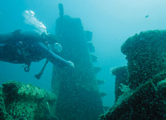 Reef Diver Courtesy Fwb Destin 2