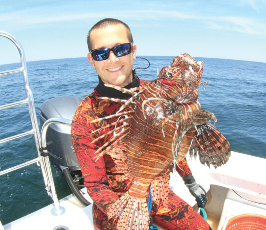 Alex Fogg Lionfish