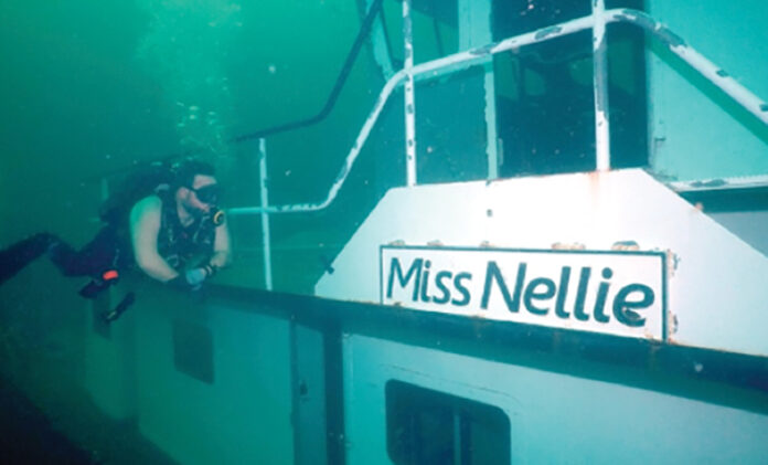 Artificial Miss Nellie
