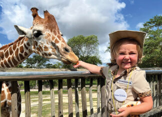 Amelia And Giraffe