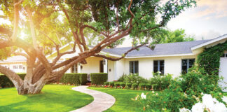 Beautiful Home With Green Grass Yard