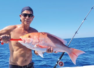 Snapper July 1