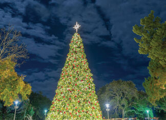Light Up The Night Fwb