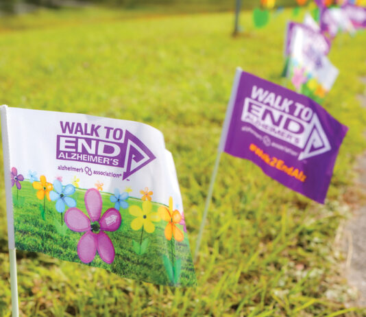 Alz Walk Flags