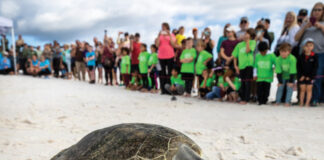 Gulfarium Care Turtle Release Smiling