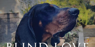 Sean Dietrich Blind Love