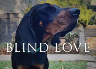 Sean Dietrich Blind Love