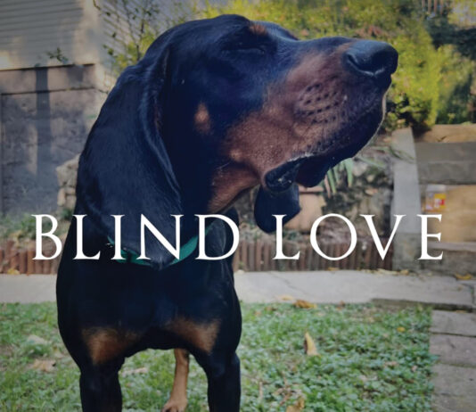 Sean Dietrich Blind Love