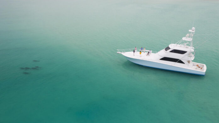 Courtesy Destin Fort Walton Beach Fl Dolphins Boat
