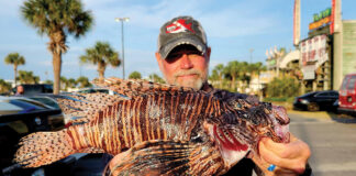 Lionfish