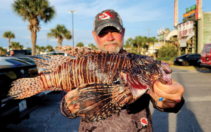 Lionfish