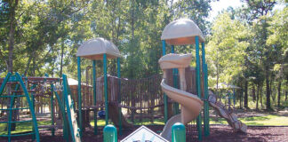 Children in Crisis Playground
