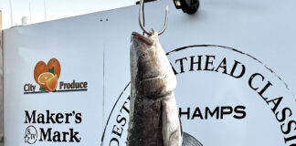 Boshamps Cobia Winner