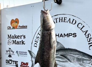 Boshamps Cobia Winner