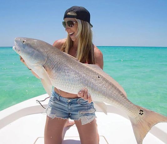 Cali Redfish