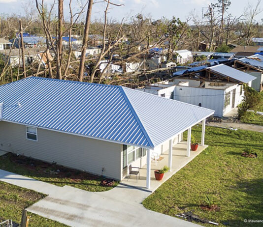 Hurricane Habitat Post Michael