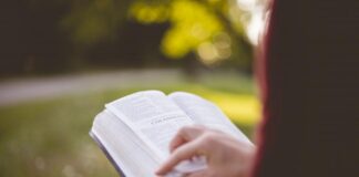 Reading In The Park 