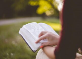 Reading In The Park 