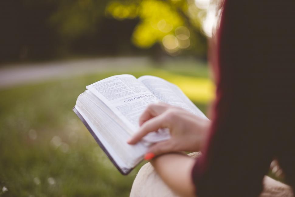 Reading In The Park