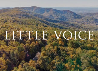 Sean Dietrich Little Voice