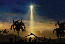 Nativity Christmas Story Under Starry Sky