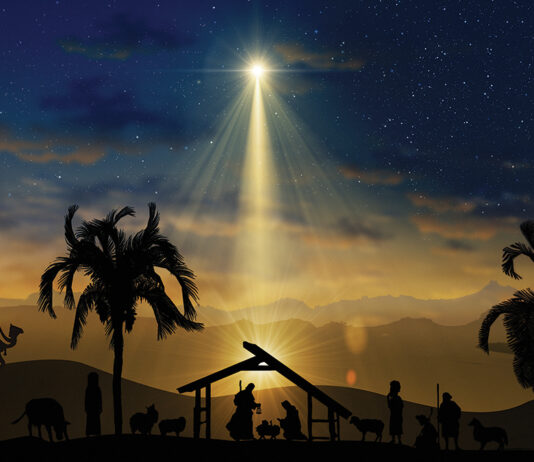 Nativity Christmas Story Under Starry Sky