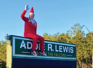 Lewis School Elf 4411