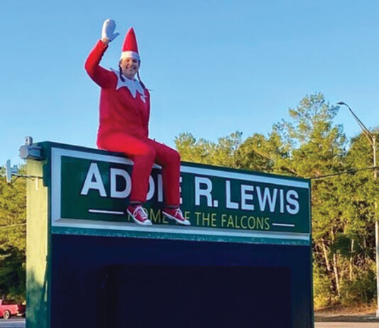 Lewis School Elf 4411