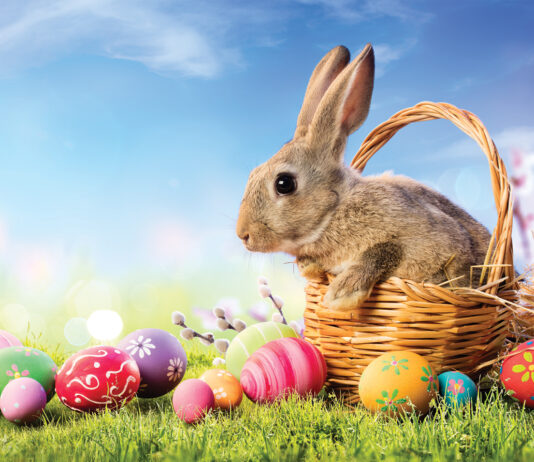 Little Bunny In Basket With Decorated Eggs Easter Card