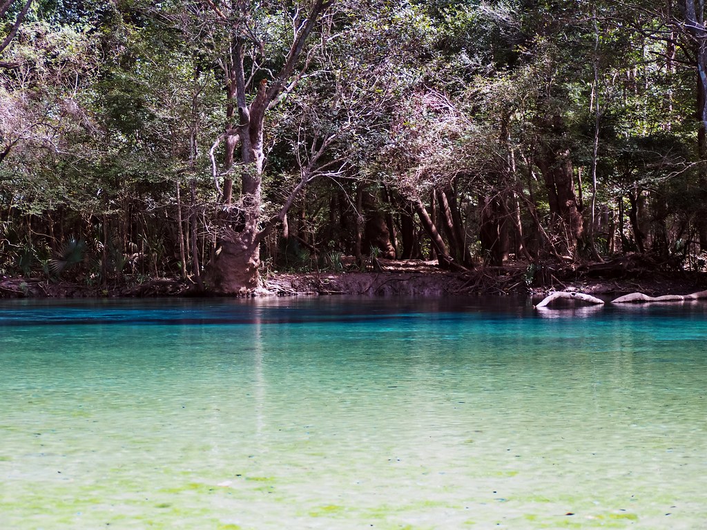 The Florida Aquifer is the Fountain of Life