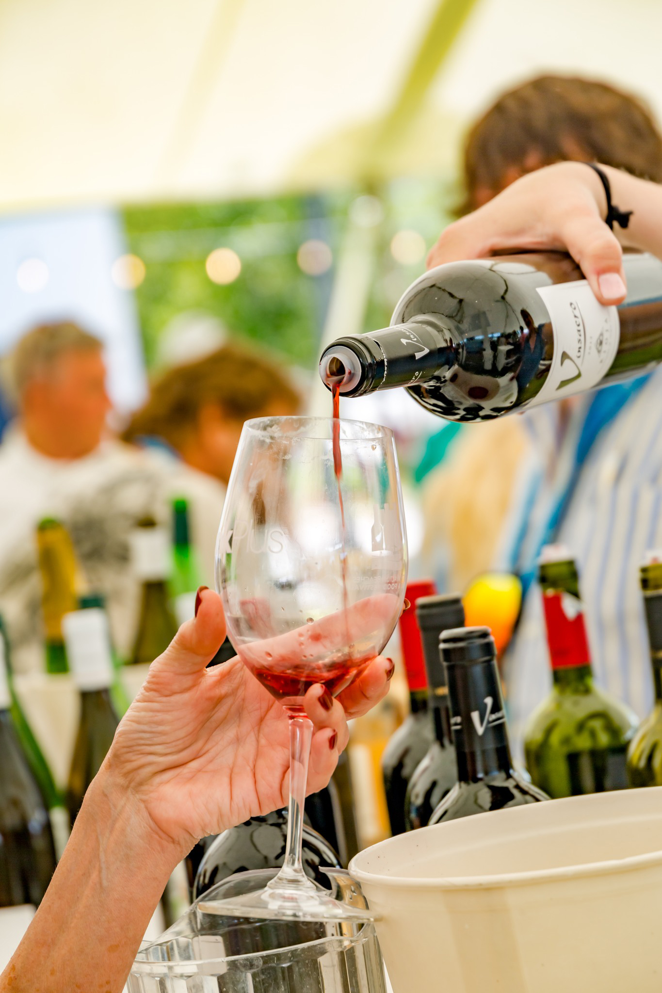 Wine Fests on Tap!