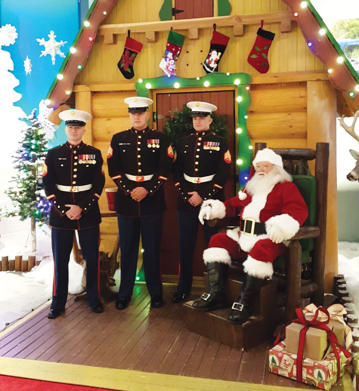 toys for tots santa rosa The Rose Toy from TikTok 101: Everything You Need to Know