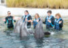 Gulfarium Splashnplayoasis 21