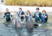 Gulfarium Splashnplayoasis 21
