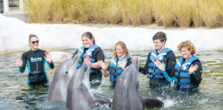 Gulfarium Splashnplayoasis 21