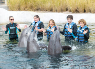 Gulfarium Splashnplayoasis 21