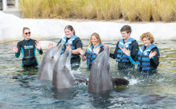 Gulfarium Splashnplayoasis 21