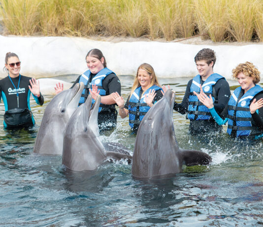 Gulfarium Splashnplayoasis 21