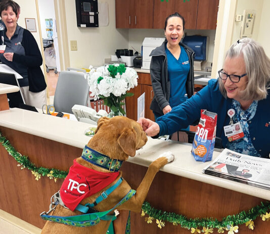 Dog Harmony Therapy Dog