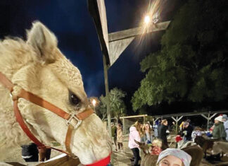 Live Nativity 4