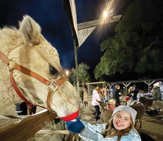 Live Nativity 4